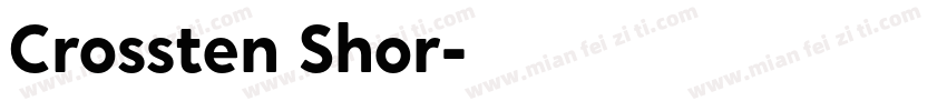 Crossten Shor字体转换